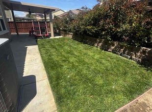 Jessica L.'s turf care service result