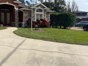 Lynn S.'s turf care service result