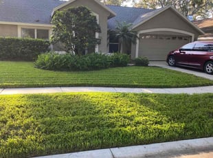 Kris C.'s turf maintenance service result