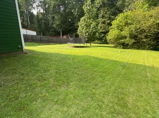 Michael K.'s lawn care service result