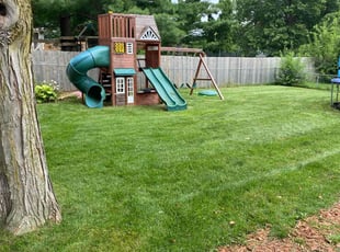 Dalton C.'s turf maintenance service result