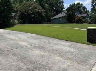 Dave R.'s turf maintenance service result
