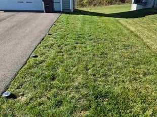 Christopher J.'s turf care service result