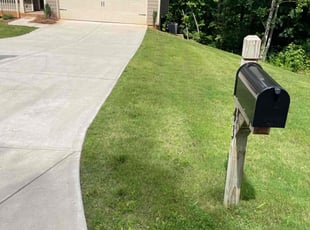 Phillip A.'s lawn service service result