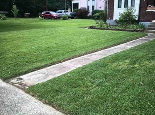 Tim C.'s gardening service service result