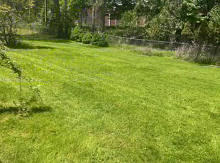 Angela C.'s lawn maintenance service result