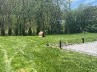 Mark G.'s grass maintenance service result