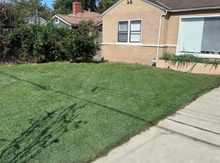 Jeff C.'s lawn care services service result