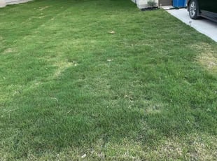 Jenny S.'s turf maintenance service result