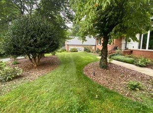 Jeremy D.'s turf care service result