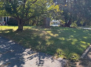 Chelsea J.'s turf care service result