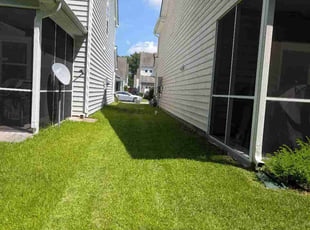 Darnel J.'s turf maintenance service result