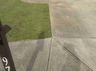 Patricia D.'s lawn care services service result