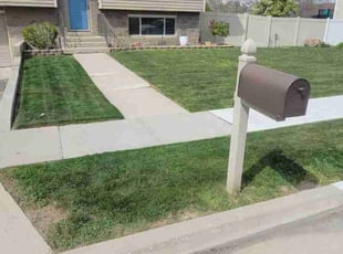 Nate D.'s turf care service result