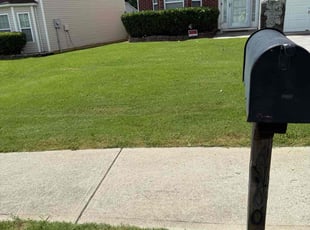 Ginney S.'s lawn care service result