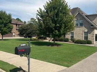 Harold J.'s turf maintenance service result