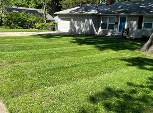 Sharon J.'s lawn care services service result