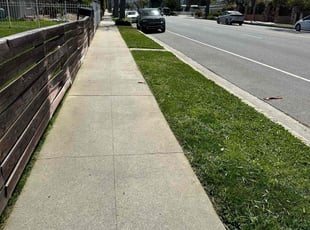 Shawn C.'s lawn service service result