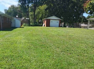 Matthew Y.'s turf maintenance service result