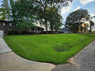 Remashaun H.'s turf maintenance service result