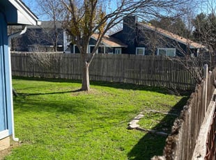 George P.'s lawn maintenance service result