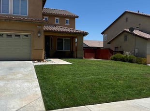 Jen W.'s grass maintenance service result