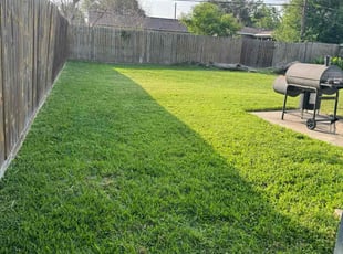 Debra L.'s lawn care services service result