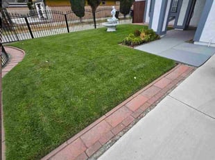 Etta P.'s turf care service result