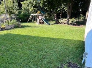 Roxanne A.'s lawn service service result