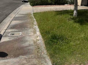 John P.'s grass maintenance service result