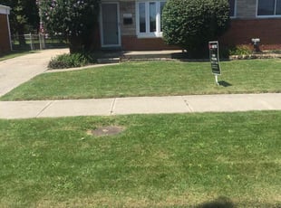 Juana W.'s turf care service result