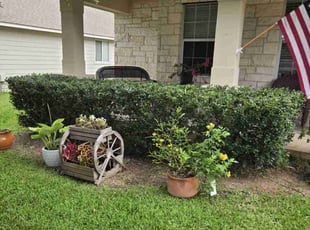 Jamieson M.'s Bush Trimming service result