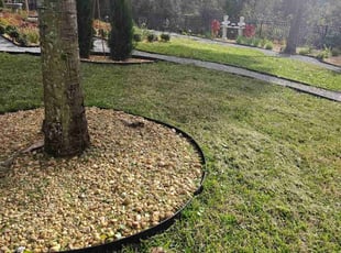 Earl C.'s lawn care service result