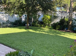 Deborah S.'s lawn service service result