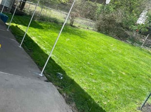Whitney H.'s lawn maintenance service result
