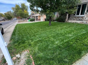 Charles S.'s lawn care service result