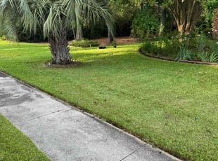 Sarah R.'s lawn maintenance service result
