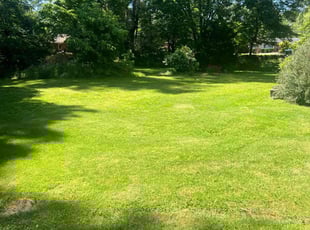 Ana Z.'s yard work service result