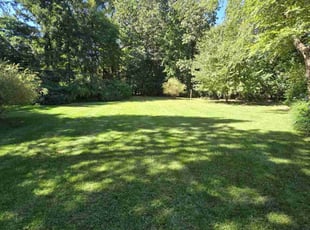 Callie C.'s grass cutting service result