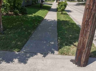 Dante B.'s turf maintenance service result