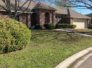 Jason S.'s grass cutting service result