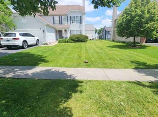 Jessica B.'s lawn care service result
