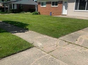 Ed W.'s grass maintenance service result