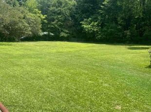 David W.'s yard maintenance service result