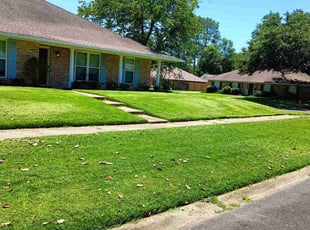 Jason K.'s grass cutting service result
