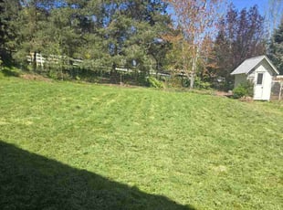 Charlotte L.'s lawn maintenance service result