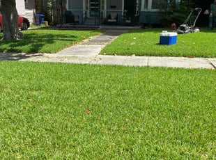 Lisa L.'s lawn maintenance service result