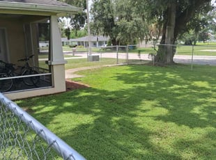 Carlo L.'s lawn maintenance service result