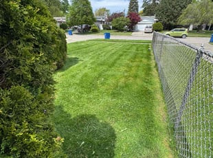 Alan C.'s turf care service result