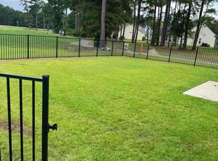 Donna D.'s lawn service service result